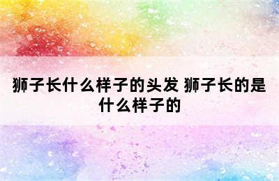 狮子长什么样子的头发 狮子长的是什么样子的